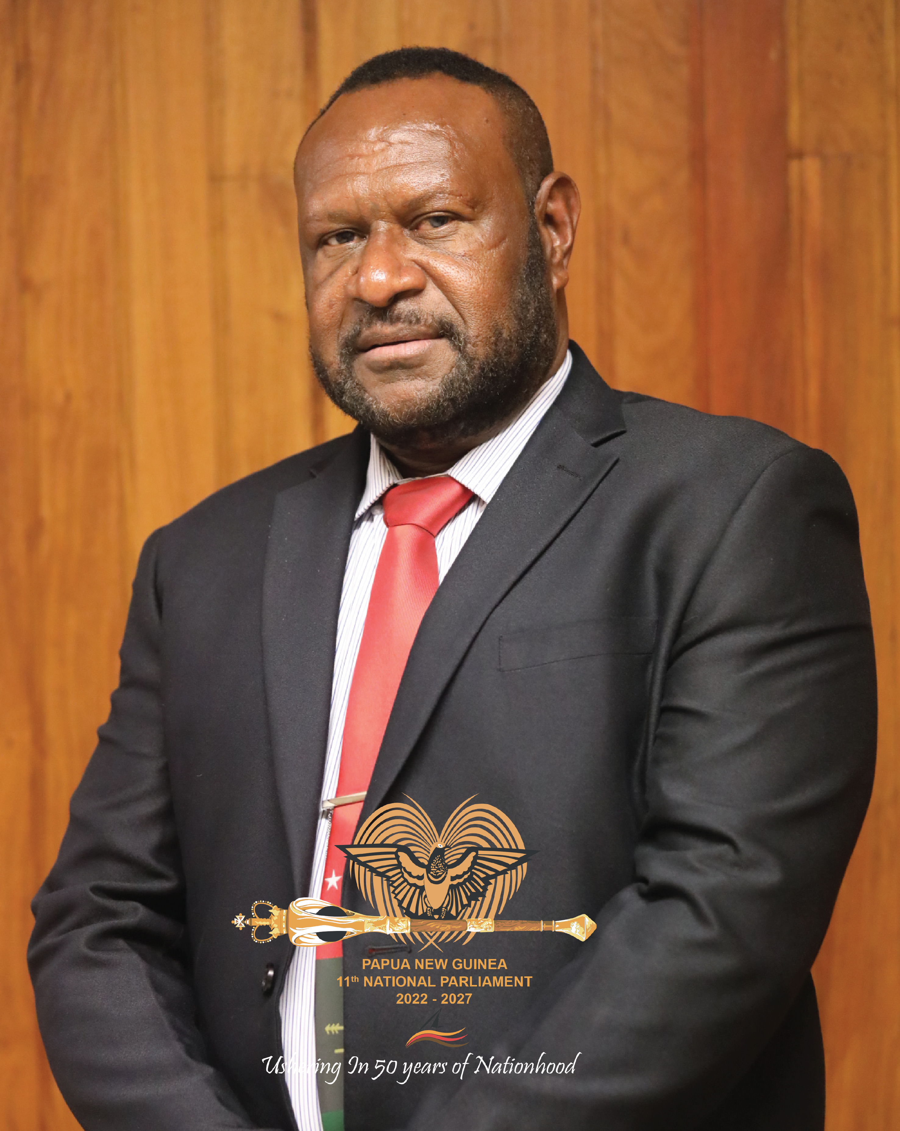 Vice Minister for Defence