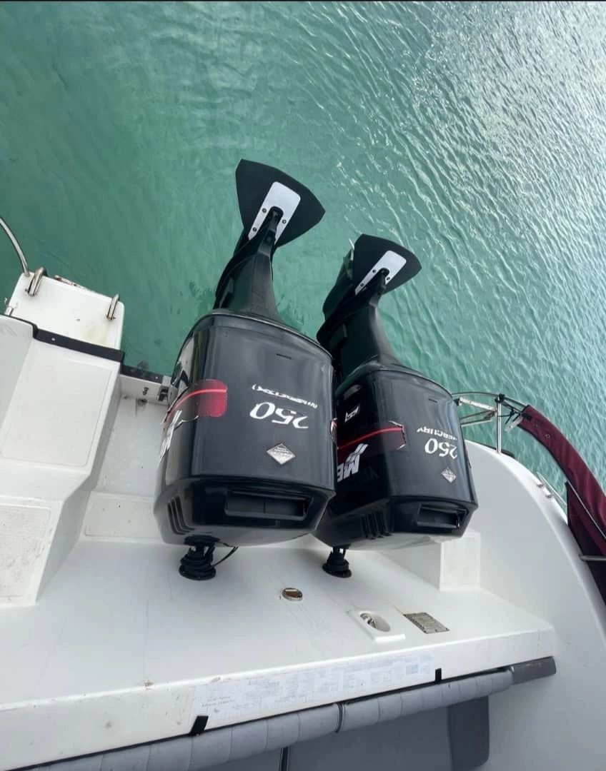 Speed Boat Licensed and Ready